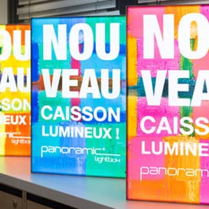 produit panoramic lightbox1 adequatexpo