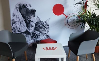 Blog 2 La petite histoire du stand parapluie