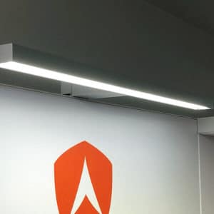 46649221085 4a529a5888 c